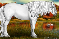 Horse Color:Gray Chestnut Sabino