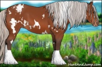 Horse Color:White Spotted Silver Bay Varnish 