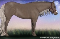 Horse Color:Silver Black 