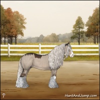 Horse Color:Liver Red Dun Mushroom Splash 