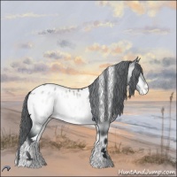 Horse Color:Brown Chinchilla Onyx Tobiano Appaloosa 