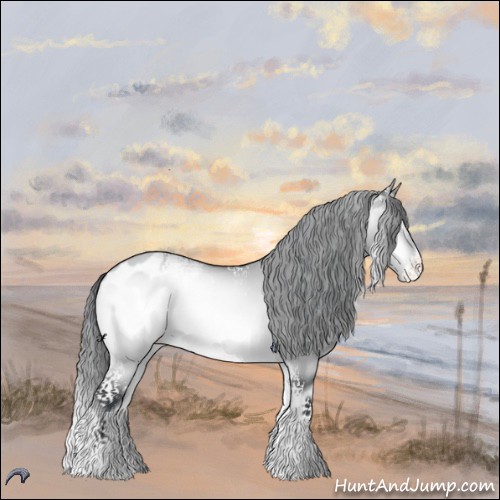 Horse Color:White Spotted Brown Chinchilla Onyx Appaloosa