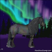 Horse Color:Midnight Brown Chinchilla Onyx