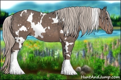 Horse Color:White Spotted Silver Black 