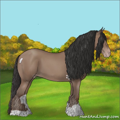 Horse Color:Classic Champagne