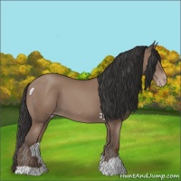 Horse Color:Classic Champagne
