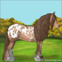 Horse Color:Brown Pearl Sabino Blanket 