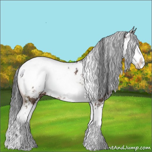 Horse Color:Brown Sabino Appaloosa 