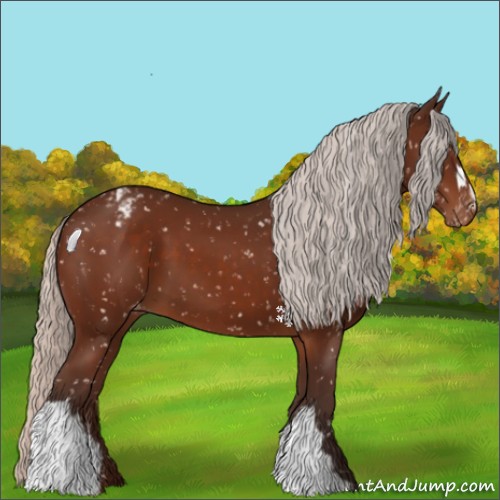 Horse Color:Silver Brown Appaloosa 