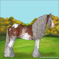 Horse Color:White Spotted Silver Brown Appaloosa 