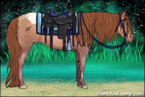 Horse Color:Buckskin Pearl Sabino Varnish