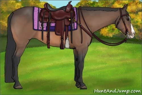 Horse Color:Bay Splash 