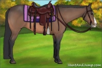 Horse Color:Bay Splash 