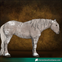 Horse Color:Silver Black Ice Rabicano