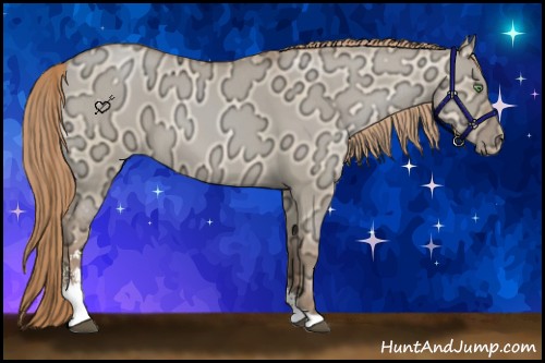 Horse Color:Liver Red Dun Ice Pearl Sabino 