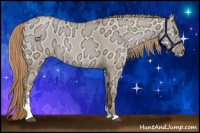 Horse Color:Liver Red Dun Ice Pearl Sabino