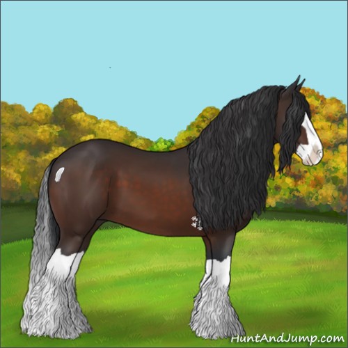 Horse Color:Brown Splash