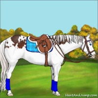 Horse Color:White Spotted Silver Bay Splash 