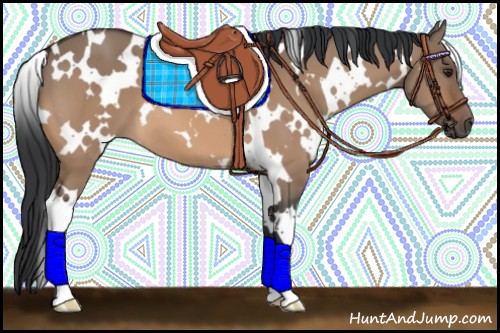 Horse Color:White Spotted Brown Dun 