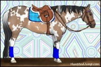 Horse Color:White Spotted Brown Dun