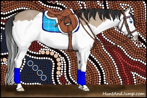 Horse Color:Bay Dun Splash 