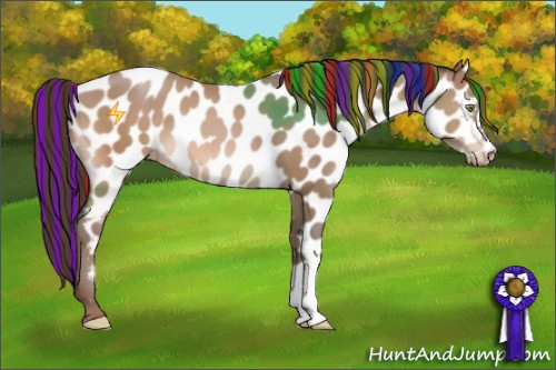 Horse Color:Painted Amber Champagne Near Leopard 