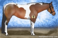 Horse Color:Bay Tobiano 