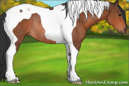 Horse Color:Bay Tobiano Rabicano 
