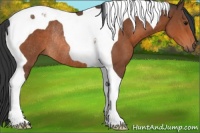 Horse Color:Bay Tobiano Rabicano 