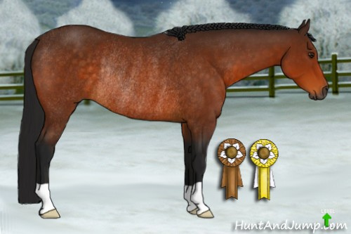Horse Color:Gray Buckskin Rabicano 