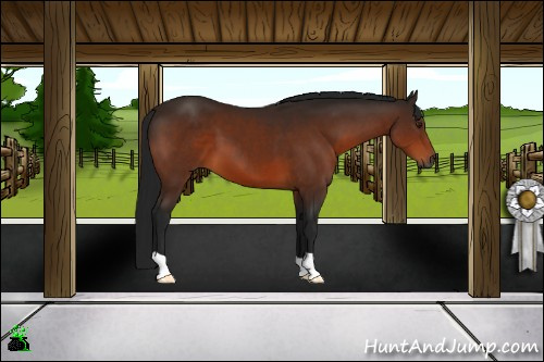 Horse Color:Gray Brown