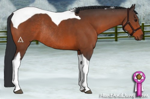 Horse Color:Brown Tobiano Rabicano
