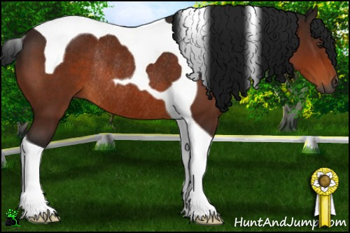 Horse Color:Gray Bay Tobiano Rabicano 