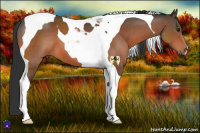 Horse Color:Brown Tobiano 