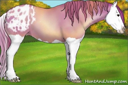 Horse Color:Black Pearl Splash Varnish