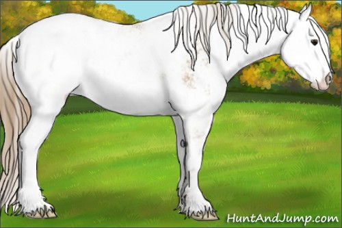 Horse Color:Black Snowdrop Pearl Sabino Varnish 