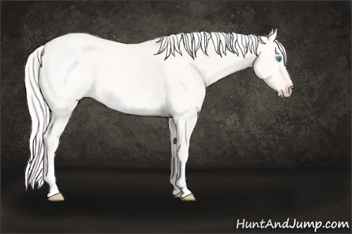 Horse Color:Silver Perlino Ice Roan Dun 