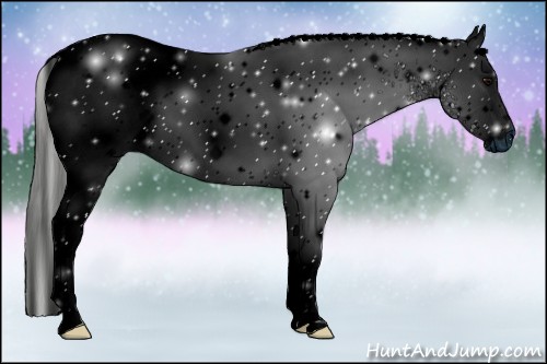 Horse Color:ERROR: UNKNOWN ANOMALY