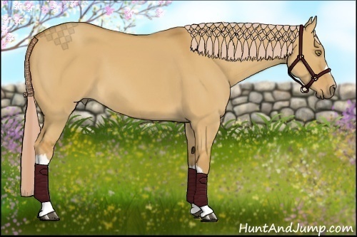 Horse Color:Palomino Dun 