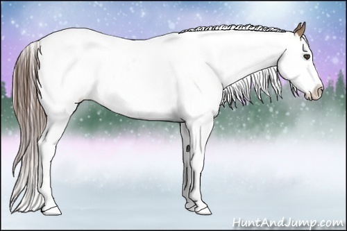 Horse Color:White Spotted Liver Red Dun Splash
