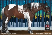 Horse Color:Brown Tobiano 