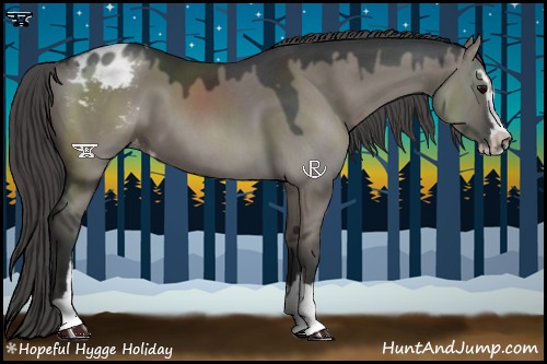 Horse Color:Grullo Sabino Appaloosa 