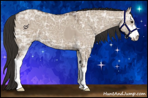 Horse Color:Liver Red Dun Ice Sabino