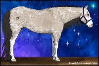 Horse Color:Liver Red Dun Ice Sabino