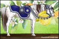 Horse Color:Liver Chestnut Ice Sabino Splash Tobiano Appaloosa Rabicano