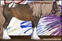 Horse Color:Chocolate Palomino Appaloosa 