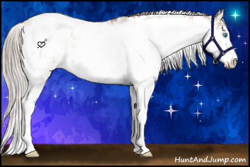 Horse Color:Chocolate Palomino Pearl Sabino Appaloosa 