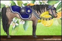 Horse Color:Brown Dun 