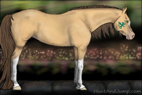 Horse Color:Amber Cream Champagne