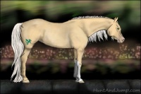 Horse Color:Silver Classic Cream Champagne Rabicano 